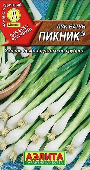 Лук батун Пикник Аэлита