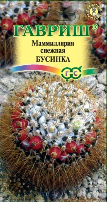 Маммилярия Бусинка кактус комнатн.
