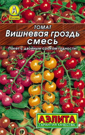 Томат Вишневая Гроздь