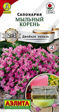 Сапонария Мыльный Корень