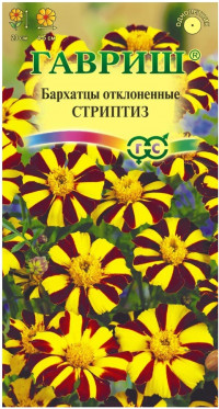 Бархатцы Стриптиз Гавриш