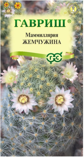 Маммилярия Жемчужины кактус комнатн
