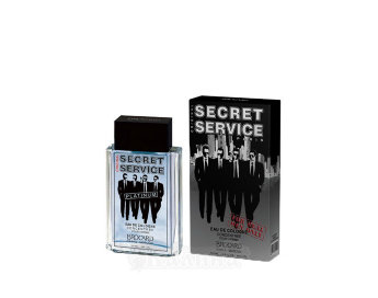 Secret платинум 100мл муж