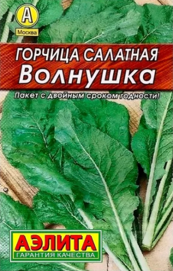 Горчица Волнушка салатная лидер
