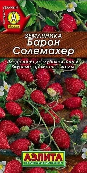 Земляника Барон Солемахер Аэлита