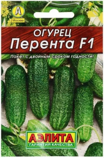 Огурец Перента F1