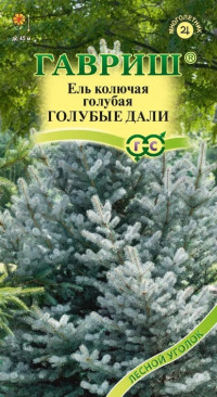 Ель голубая(колючая) Голубые Дали