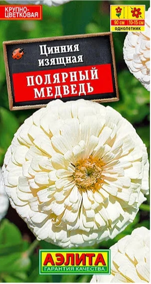 Цинния Полярный Медведь геор.Аэлита