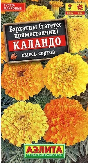 Бархатцы Каландо Аэлита