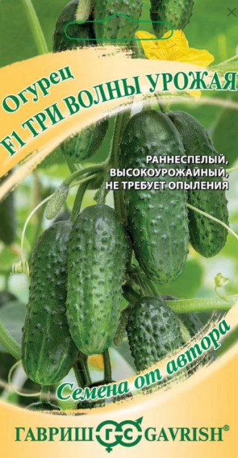 Огурец Три Волны Урожая Гавриш