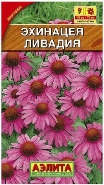Эхинацея пурпурная Ливадия