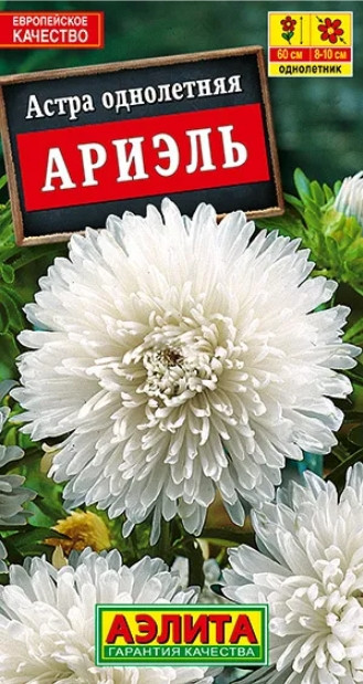 Астра Ариэль Аэлита