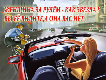 Магнит дерево 60*80 МД-68.18