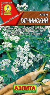 Хрен Гатчинский Аэлита
