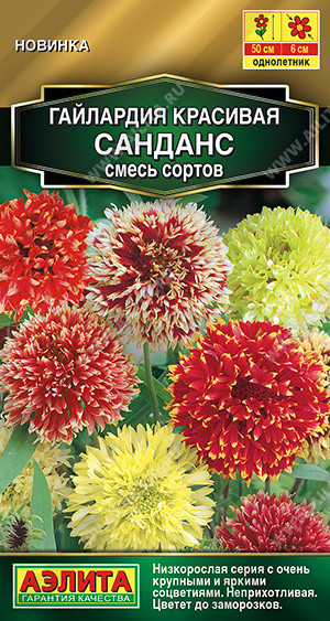 Гайлардия Санданс Аэлита