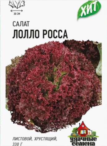 Салат Лолло Росса хит