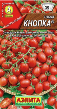Томат Кнопка Урожай дома