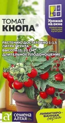 Томат Кнопа очень ранний Сем.Алтая