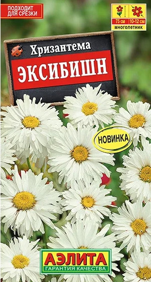 Хризантема Эксибишн Аэлита