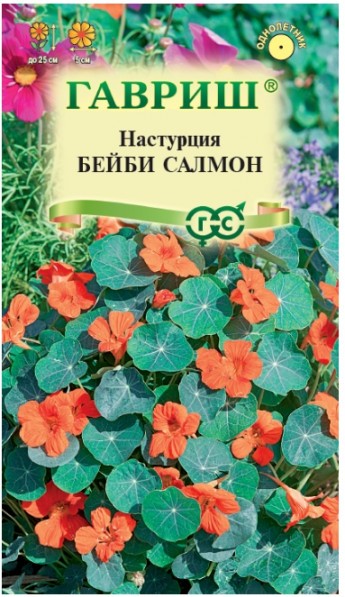 Настурция Бейби Салмон Гавриш