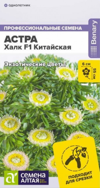 Астра Халк F1 Сем.Алтая