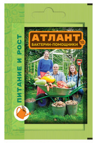 Атлант пакет 10г В/Х