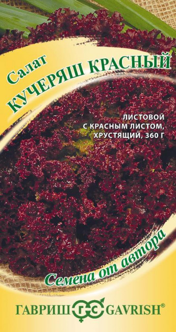 Салат Кучеряш КРАСНЫЙ Гавриш