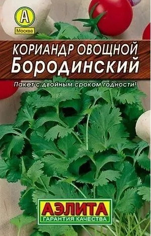 Кориандр Бородинский лидер