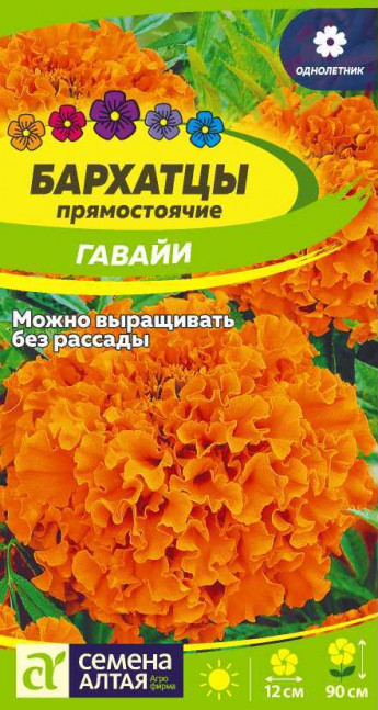 Бархатцы Гавайи Сем.Алтая
