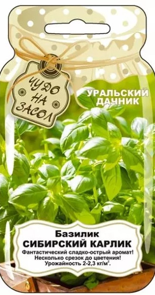 Базилик Сибирский Карлик Ур.Дачник