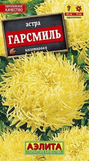 Астра Гарсмиль Аэлита