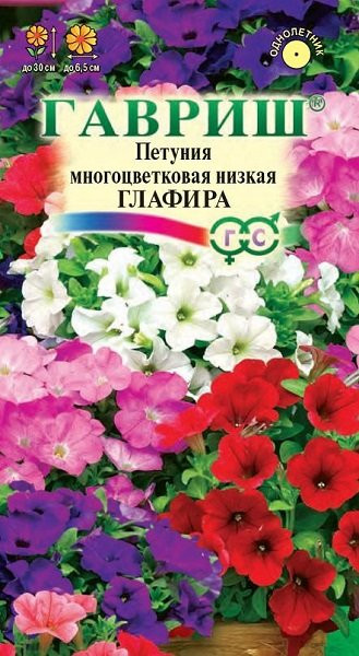Петуния Глафира Гавриш