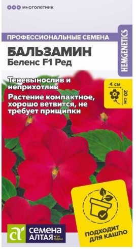 Бальзамин Беленс Ред комн.Сем.Алтая