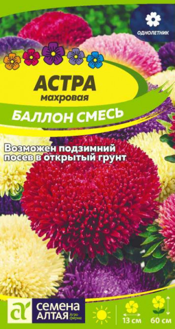 Астра Баллон Разноцветный Сем.Алтая