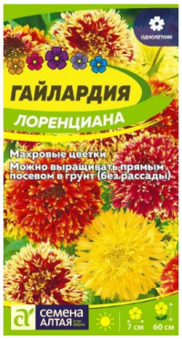 Гайлардия Лоренциана Сем.Алтая