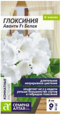 Глоксиния Аванти Белая комн.Сем.Алт