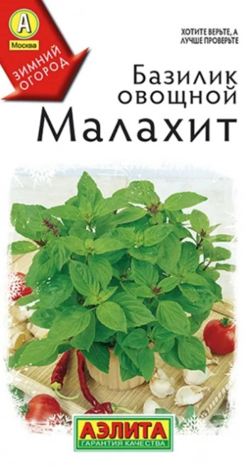 Базилик Малахит комнатн.Аэлита