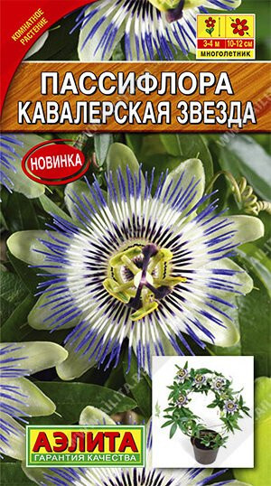 Пассифлора(Маракуйя) Кавалер.Звезда