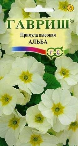 Примула Альба Высокая