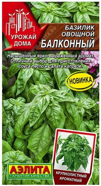 Базилик Балконный овощной Аэлита