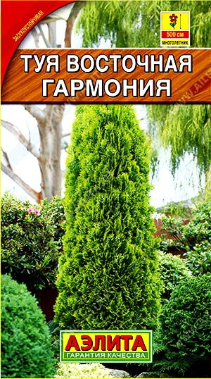 Туя Гармония восточная