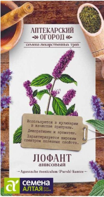 Лофант Анисовый Сем.Алтая