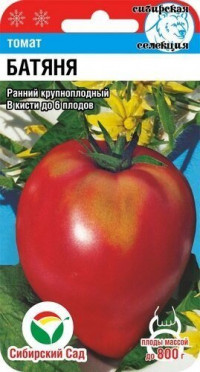 Томат Батяня