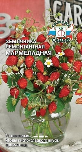 Земляника Мармеладная