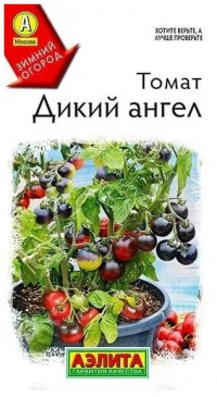 Томат Дикий Ангел Аэлита