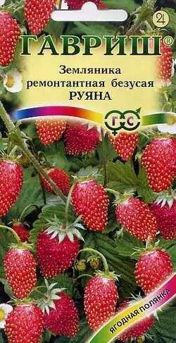 Земляника Руяна