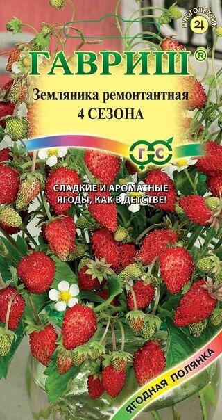 Земляника Четыре Сезона