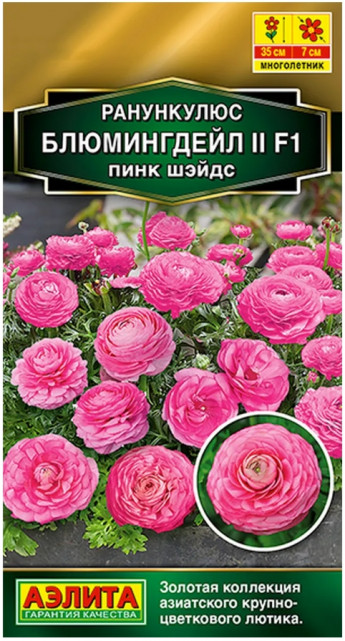 Ранункулюс Блюмингдейл Пинк Шейдс