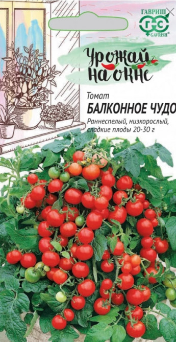 Томат Балконное Чудо Гавриш
