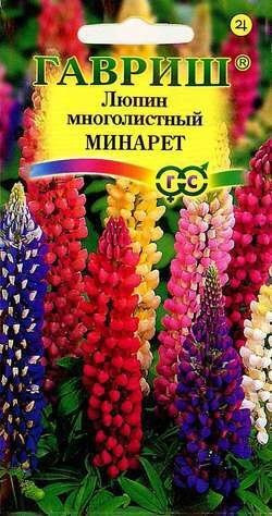 Люпин Минарет